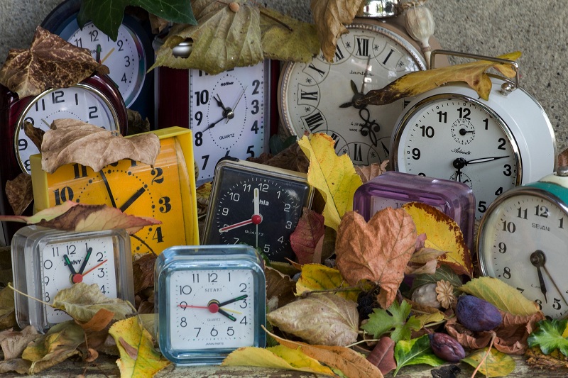 How to Survive Daylight Saving Time and Shorter Days