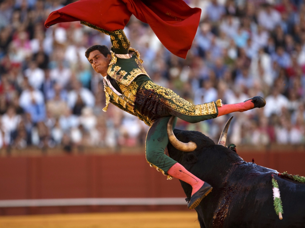 ReutersSpanish matador David Galvan is tackled by a bull during a bullfight in Seville southern Spain