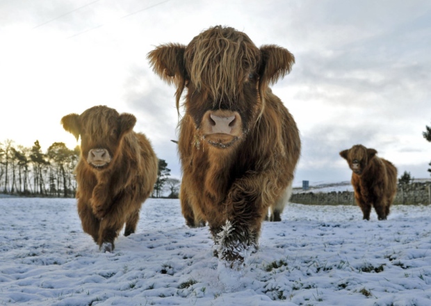 There could be over 1ft of snow in parts of the Highlands