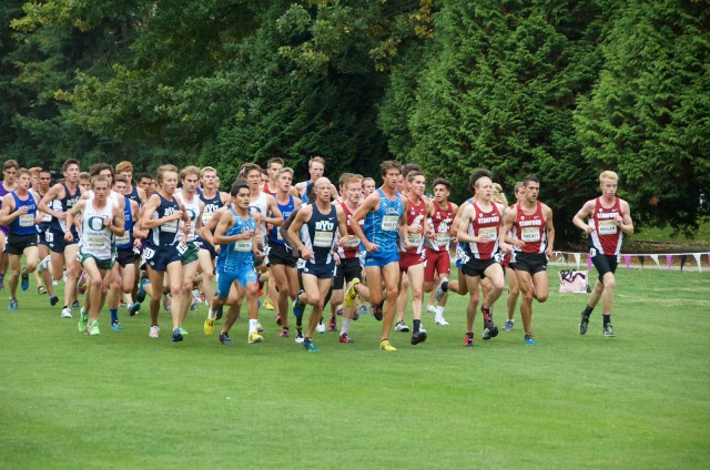 Senior runner Lane Werley will look to lead the Bruin cross country contingent Saturday at the NCAA Championships