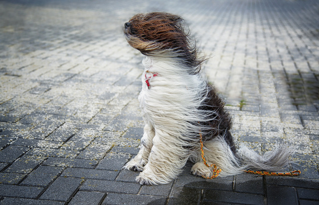 Severe gales and floods set to hit Scotland in wake of Storm Abigail