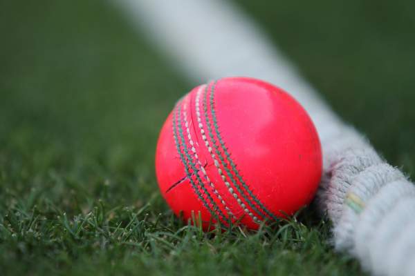 The pink ball will be used during the day-night Test between Australia and New Zealand in Adelaide