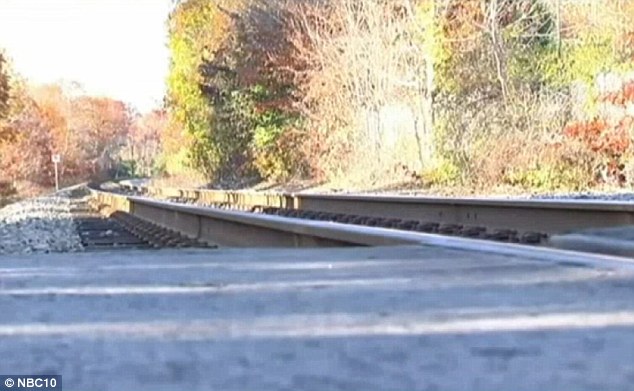 Theory Officials believe Bortner was killed at a different location and her body was brought to the commuter rail tracks where she was burned