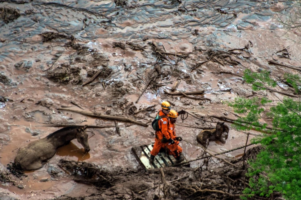 Brazilian firemen rescue a foal which remains next to its mother after a dam burst in the village of Bento Rodrigues in Mariana Minas Gerais state Brazil