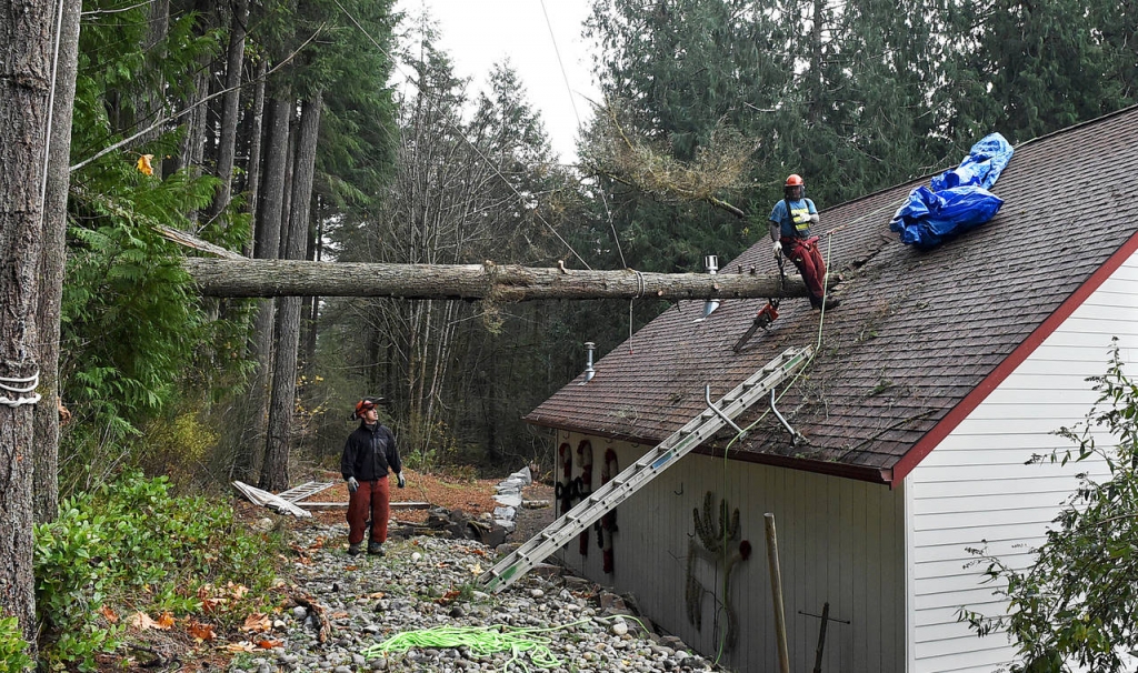 Two Killed And 360000 Left Without Power As Severe Storms Hit Washington State