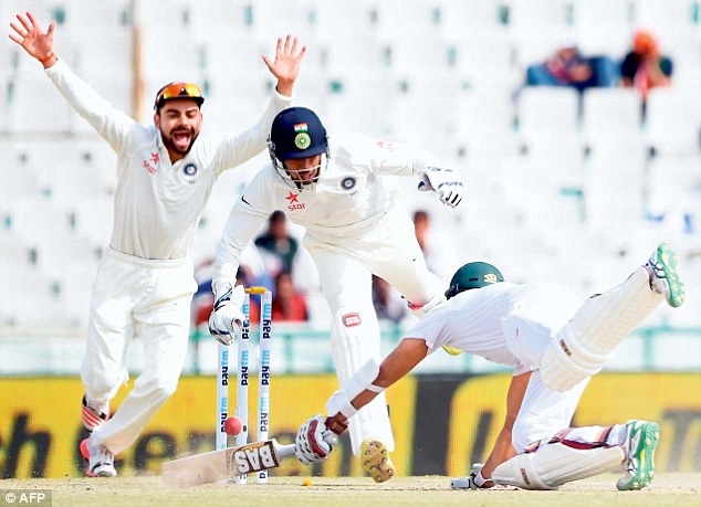 Virat Kohli is ecstatic as Hashim Amla is stumped on the second day of the first Test in Mohali