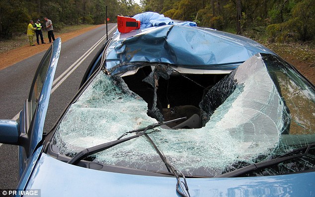 Fairmont sedan in which 50-year-old man died after a kangaroo crashed through his windscreen near Manjimup 300km south of Perth