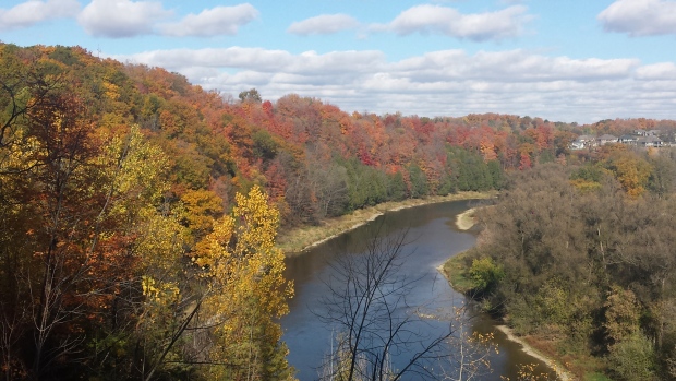 Homer Watson Park