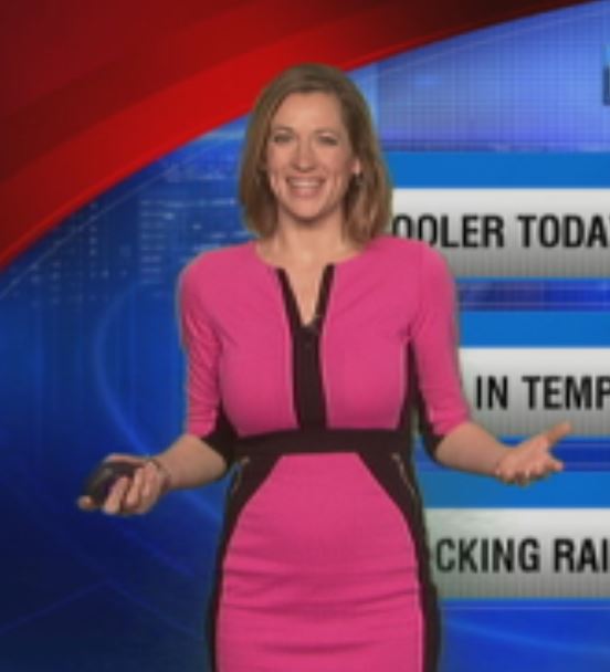 Meteorologists Around Country Say Yes To $23 Dress From Amazon