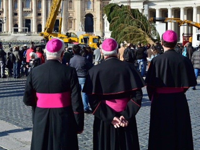 A sham? Bishops stand in St Peter's square where a crane lifts a Christmas tree that was cut in Bavaria southern Germany