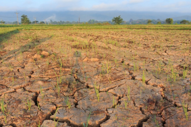 2015 hottest year on record- until next year