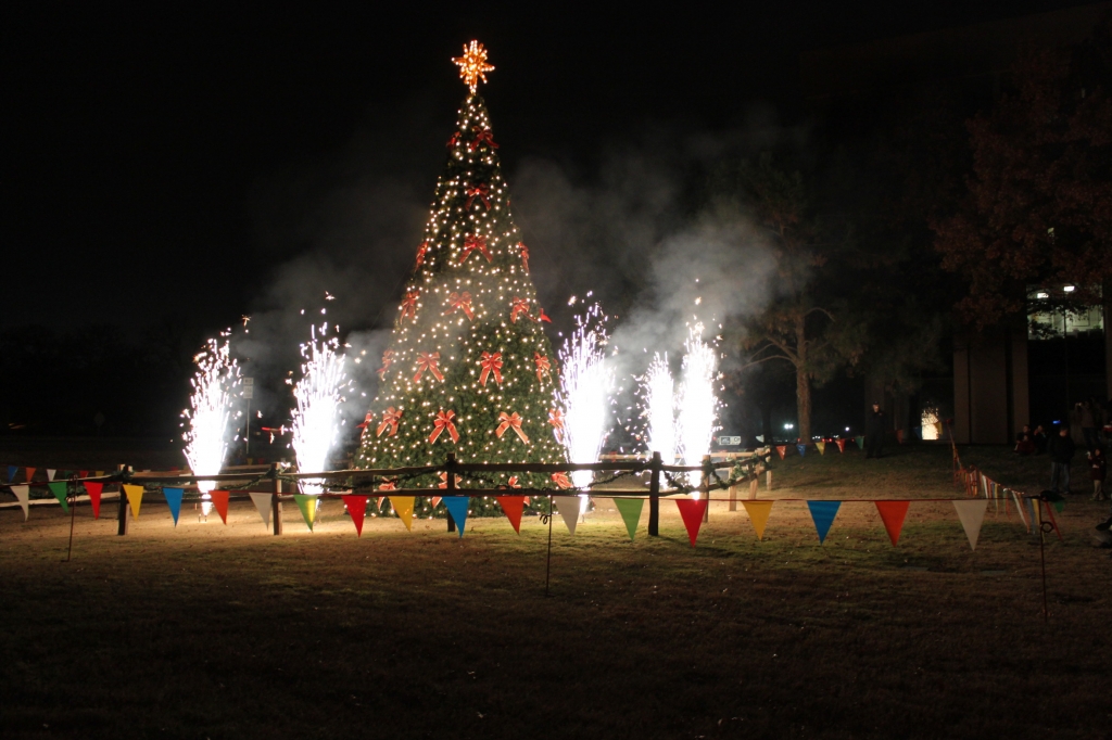 Vancouver Christmas tree lighting 2015