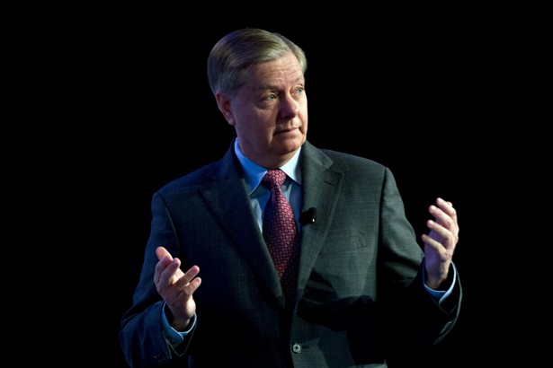 Lindsey Graham Drops Out of Presidential Race