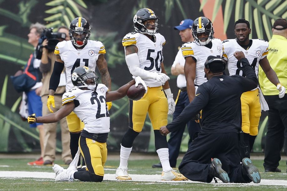 Pittsburgh Steelers cornerback William Gay celebrates after scoring a touchdown on an interception off Cincinnati Bengals quarterback AJ Mc Carron in the second half of an NFL football game Sunday Dec. 13 2015 in Cincinnati