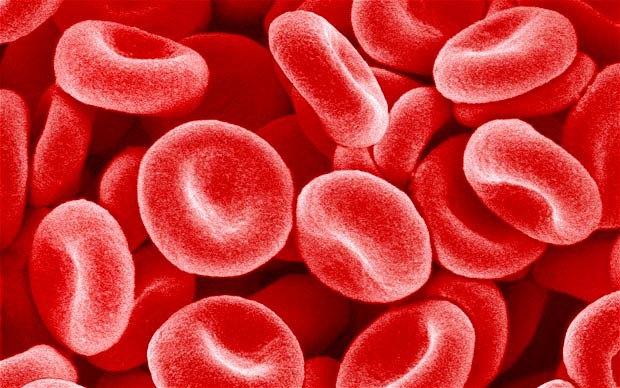 Liquid biopsy blood test could revolutionise cancer treatment