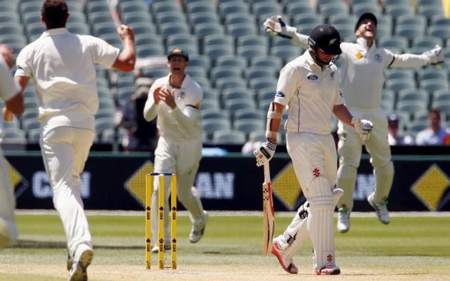 Siddle completes nerve-jangling win over NZ