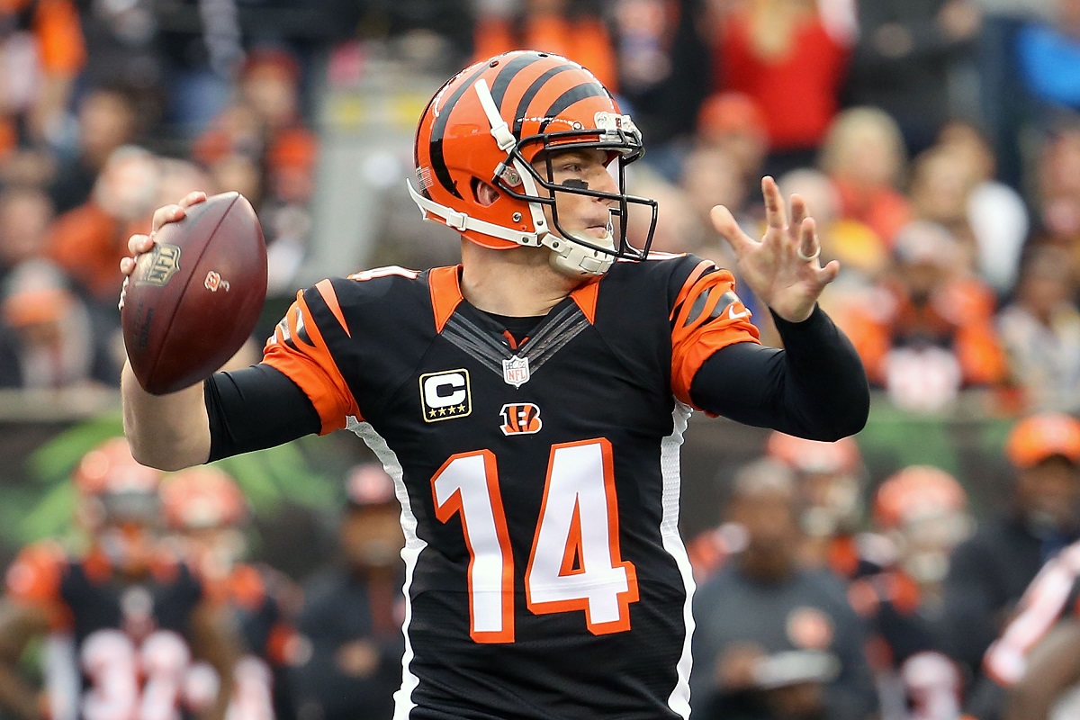 Bengals fans: AJ McCarron is here to stay