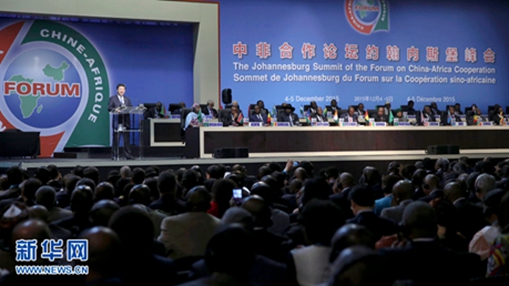 China-Africa cooperation forum kicks off in Sandton