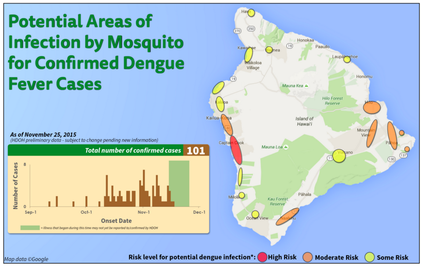 Hawaii's Dengue Fever Outbreak Is Devastating — But Not Just for the Reasons You Think