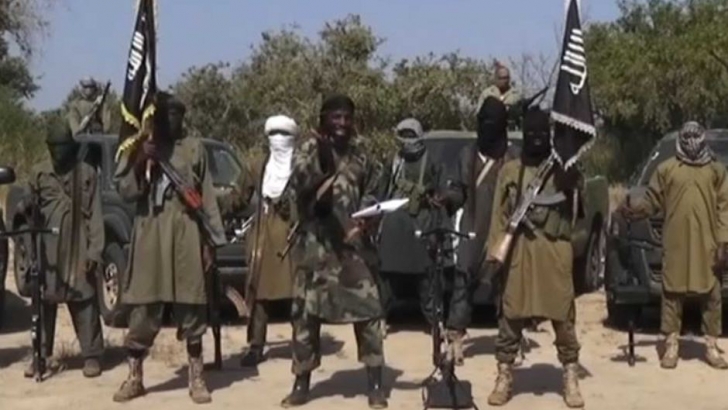 Cameroon troops free 900 Boko Haram hostages