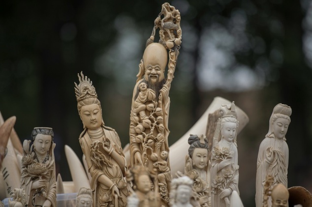 Carved ivory is shown to the media before being destroyed in Beijing