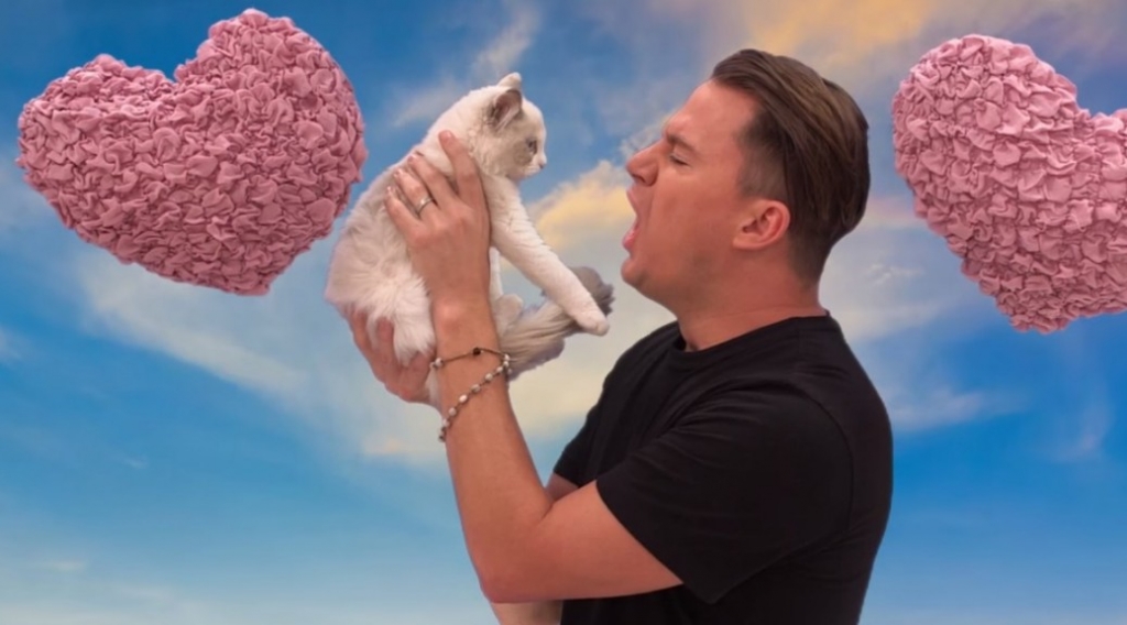 Channing Tatum hating a kitten is weirdly brilliant