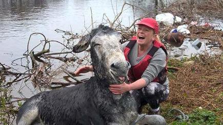 Damp donkey laughs off his ordeal