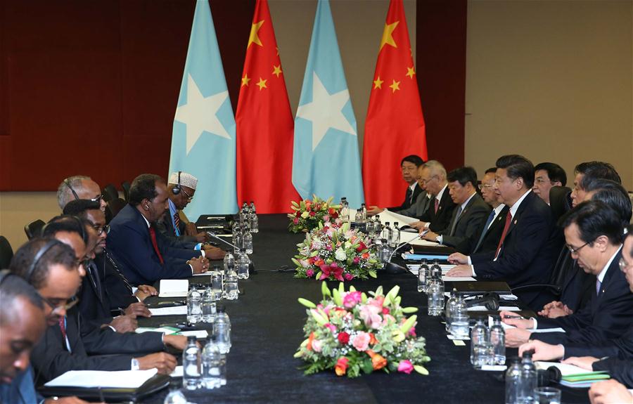 Chinese President Xi Jinping meets with Somali President Hassan Sheikh Mohamoud in Johannesburg South Africa Dec. 4 2015