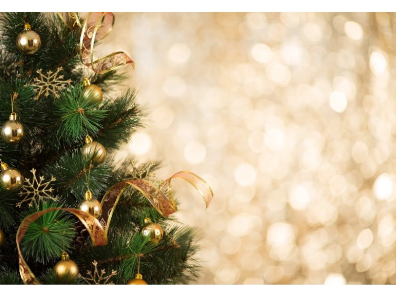 Christmas Tree Recycling Site Selected