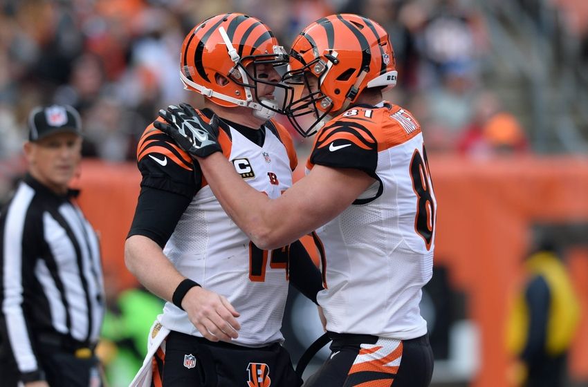 Bengals shine in 37-3 obliteration of Browns