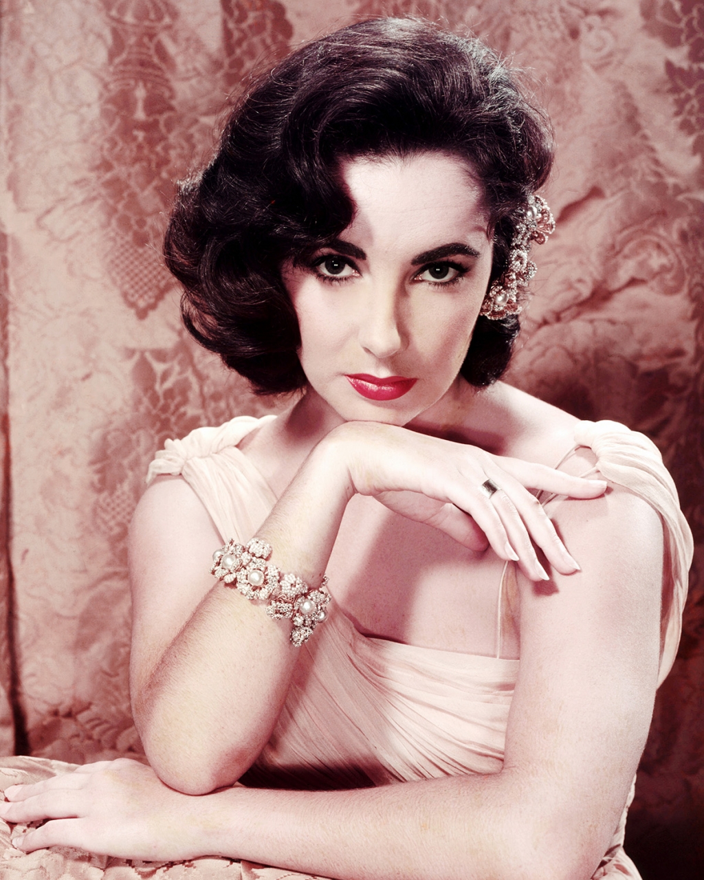 Liz Taylor ran an underground AIDS safe house so patients could access life-saving medication