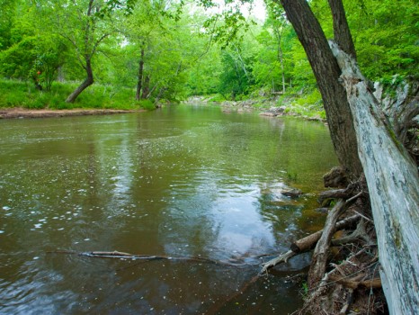 Eno River State Park