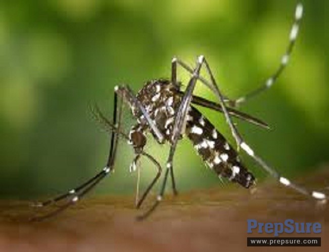 Dengvaxia World’s first Dengue vaccine received marketing approval in Mexico