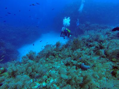 US Cuba sign first environmental accord since thaw