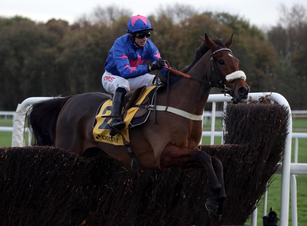 HIGH HOPES Cue Card