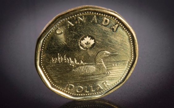 Canadian Dollar Falls to 11-Year Low as Oil Economy Falls Apart