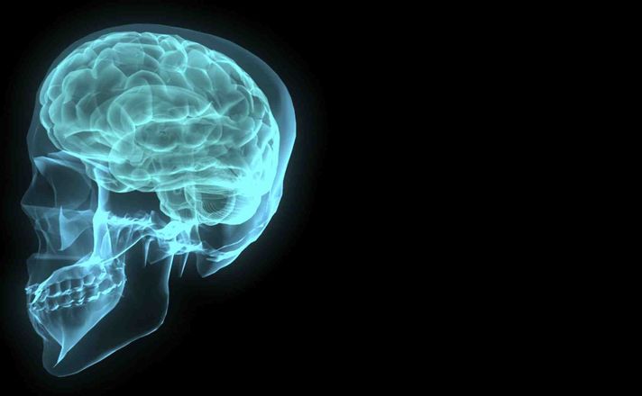 New study proves there is no gender specific brain