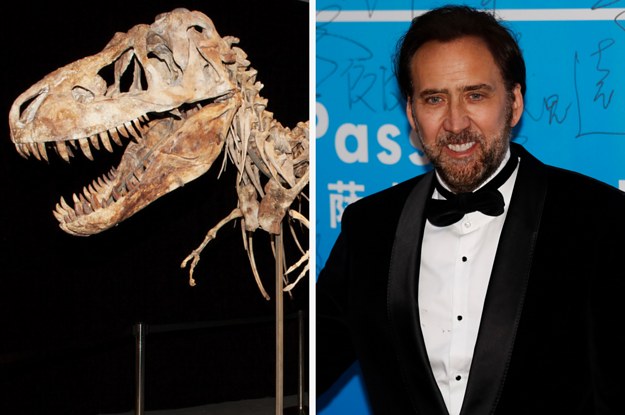 Nicolas Cage agrees to return Tyrannosaurus skull he bought at auction in 2007 to Mongolia