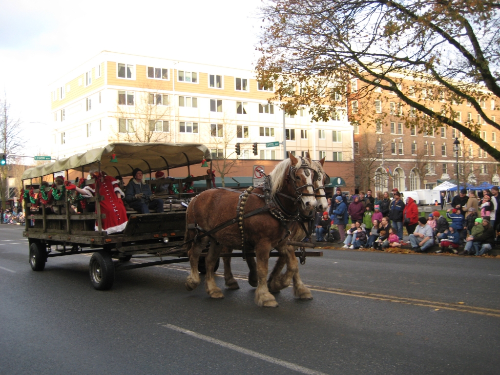 Downtown for the Holidays includes free horse drawn carriage rides and entertainment prior to the annual tree lighting at Sylvester Park