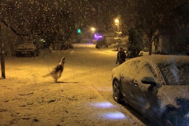 Peter Ferguson

Snow in Newtownabbey