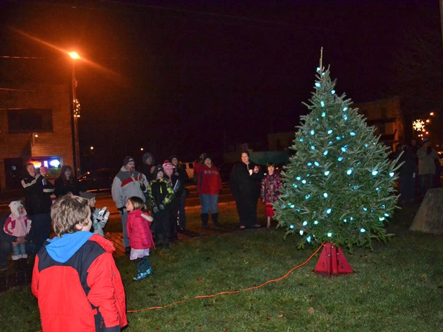 The Root of it All: Christmas tree needle drop