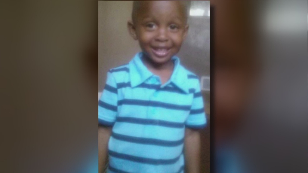 Dozens gather to remember boy killed by pit bulls