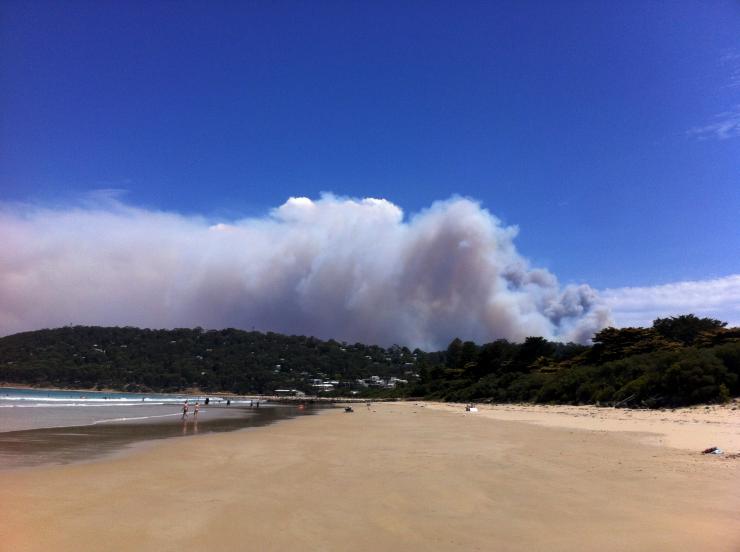 Bushfire