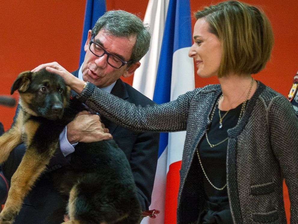 French Ambassador to Russia Jean Maurice Ripert holds a puppy named Dobrynya as his wife Yael pets the puppy during a ceremony presenting the puppy to French police in the French Embassy in Moscow Russia Dec. 7 2015