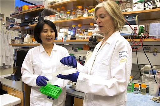 Jennifer Doudna right and her lab manager Kai Hong work in her laboratory in Berkeley Calif. Designer babies or an end to intractable illnesses A revolutionary technology