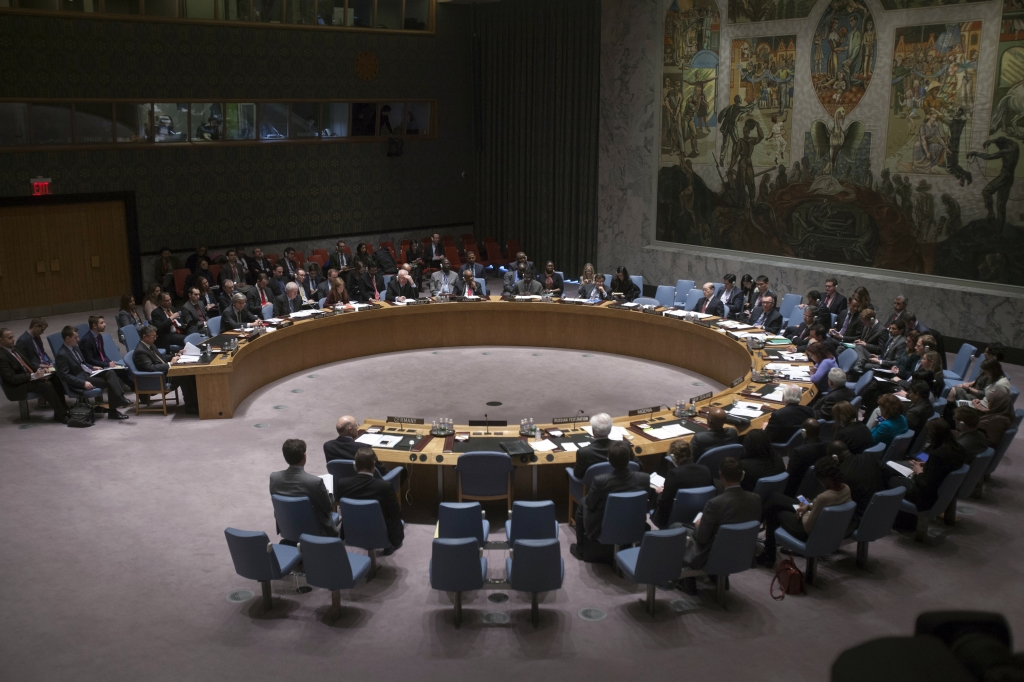 United Nations Security Council