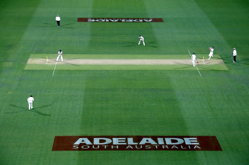 The day-night test at the Adelaide Oval was considered a success according to a fan survey