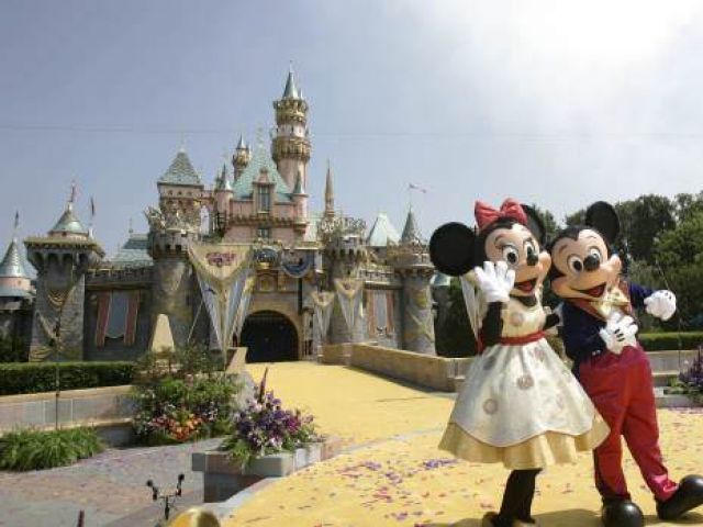 The family of 11 from north east London had planned a holiday to Disneyland in California after saving thousands of pounds for the trip