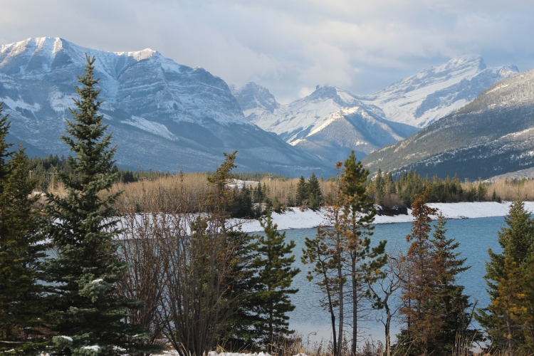 Alberta’s new climate plan targets 30% renewable energy integration by 2030