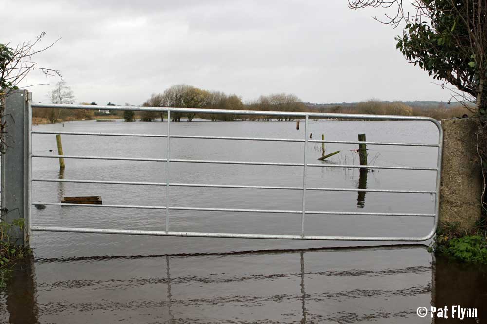 The scene at Springfield Clonlara where homes are under threat from rising waters